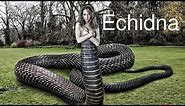 Echidna - The Mother of all Monsters in Greek Mythology | Greek Mythology Monsters
