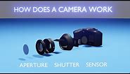 How Does a DSLR Camera Work