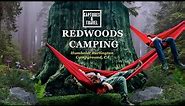 Redwoods National Park: Best Campground in Humboldt California