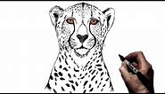 How To Draw a Cheetah | Step By Step