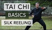 Tai Chi - Silk Reeling Fundamentals for Beginners