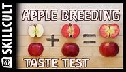 🍎 Test Tasting 12 Apples Grown From Seed 🍎 Plus Heirloom Varieties