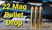 22 Mag Bullet Drop - Demonstrated and Explained