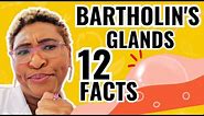 Understanding Bartholin's Cysts | 12 Facts Explained