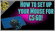 How to set up your Mouse for CS:GO - Mousepad, settings, and sens talk!