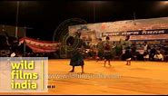 Nihang's Gatka dance at Hola Mohalla Festival in Punjab