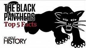 The Black Panthers | Top 5 Facts