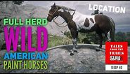 🗣 RDR2: Where to find a herd of wild American Paint Horses Easy! - With Location Guide!