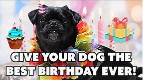 10 Tips for the Best Dog Birthday Party Ever!