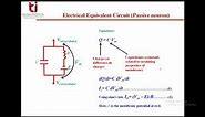 Lecture 4 Electrical Analogue of Neuron