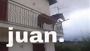Hi all, I’m on the balcony and my name is Juan. #juan #horse #balcony #juansguarnizo #juandediospantoja #horses #juanworldorder #spanishtiktok #spanishmeme