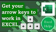 Get your Arrow Keys to work again in EXCEL