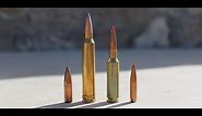 6.5 Creedmoor vs 300 Win Mag: What You Know May Be Wrong