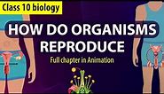 How Do Organisms Reproduce Full chapter (Animation) | CBSE Class 10 Biology Chapter 7 | NCERT
