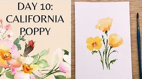 Day 10 - watercolor California poppies