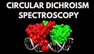 Circular Dichroism Spectroscopy for Protein Structural Analysis