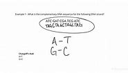 Writing Complementary DNA Sequences | Chemistry | Study.com