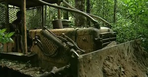 La déforestation en Amazonie | Lumni Enseignement