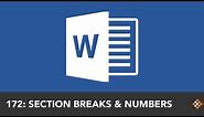 Resetting Word Page Numbers with Section Breaks | Everyday Office 062