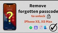 Remove forgotten passcode to unlock a disabled iPhone XS, XS Max