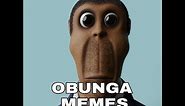 OBUNGA MEMES COMPILATION