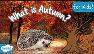 What is Autumn? | Signs of Autumn for Kids 🍂