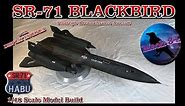 Building the Revell 1/48 Scale SR-71 Blackbird Strategic Reconnaissance Aircraft