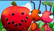 Grand Thief Apple | Kids TV Shows - Full Episodes | Cartoons For Kids | Fun Anime | Moonbug