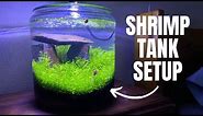 Nano 1 Gallon Shrimp Tank Setup