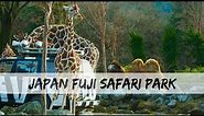 JAPAN GUIDE - FUJI SAFARI PARK | Drive through safari