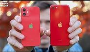 iPhone 12 MINI vs iPhone SE (Not Worth The Extra Money???)
