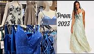 PROM DRESS Shopping at Macy’s 2023 |Wedding Guest Dresses | Ladies Formal Evening Wear