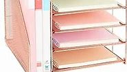 LEKETREE Desk Organizers and Accessories, 5-Tier Paper Letter Tray Organizer with File Holder, Office Supplies for Women, Desk Accessories & Workspace Organizers(Rose Gold)