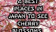 8 Best Places in Japan to see Cherry Blossoms