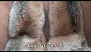 How to make fur mittens!