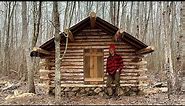 Simple Off Grid Log Cabin Build: Moss Chinking, Door Build, Tarp Roof