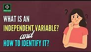 What is an Independent Variable and How to Identify it?