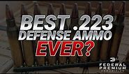 Best .223 Defense Ammo Ever? Federal 5.56mm 62gr FBIT3 Gel Test
