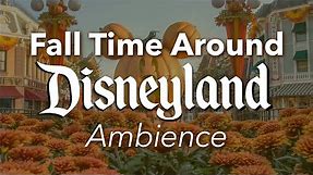 Fall Time Around Disneyland Ambience | Autumn Disneyland & DCA Halloween Ambience