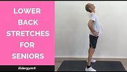 Lower back stretches for seniors, exercises for the elderly, senior fitness training, strength