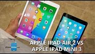 Apple iPad Air 2 vs Apple iPad mini 3