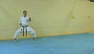 Demonstration of the Kata (Step by Step)