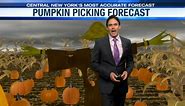 Sunday's Pumpkin picking and Mowing/Mulching forecast