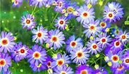 Beautiful Purple Flower Live wallpaper - Animated background wallpapers loops videos