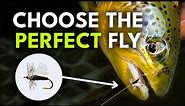 How to Pick the Right Fly Fishing Flies | Module 5, Section 2