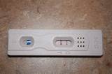 Pregnancy Calculator Test Positive
