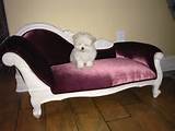Pictures of Dog Luxury Furniture
