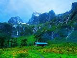 Himalayan Mountains Plants Pictures