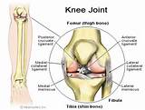 Behind The Knee Injury