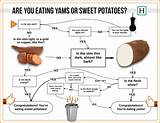 What Is The Difference Between Yams And Sweet Potatoes Images